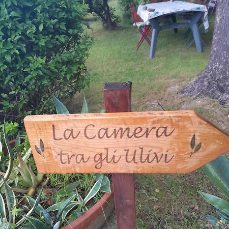 La Camera Tra Gli Ulivi Dream Finale Finale Ligure Bagian luar foto