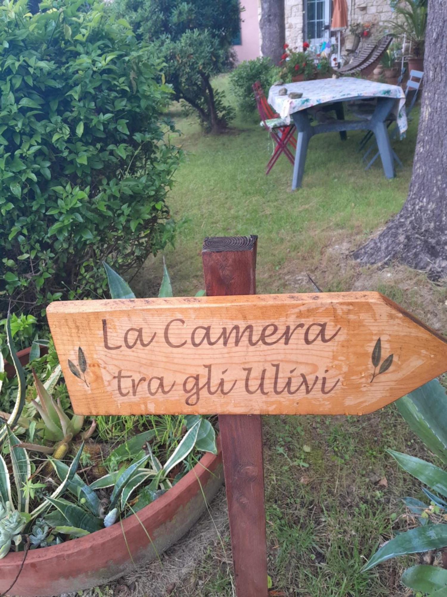 La Camera Tra Gli Ulivi Dream Finale Finale Ligure Bagian luar foto