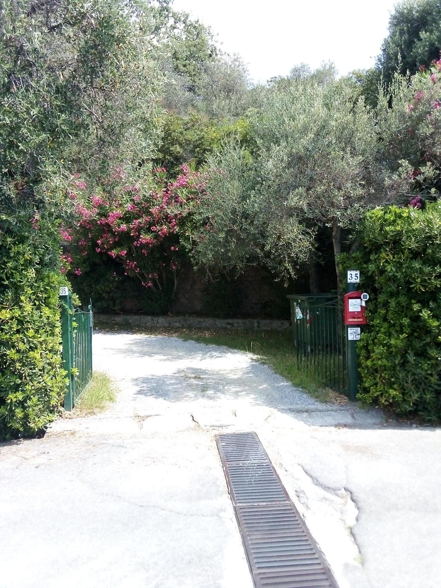 La Camera Tra Gli Ulivi Dream Finale Finale Ligure Bagian luar foto