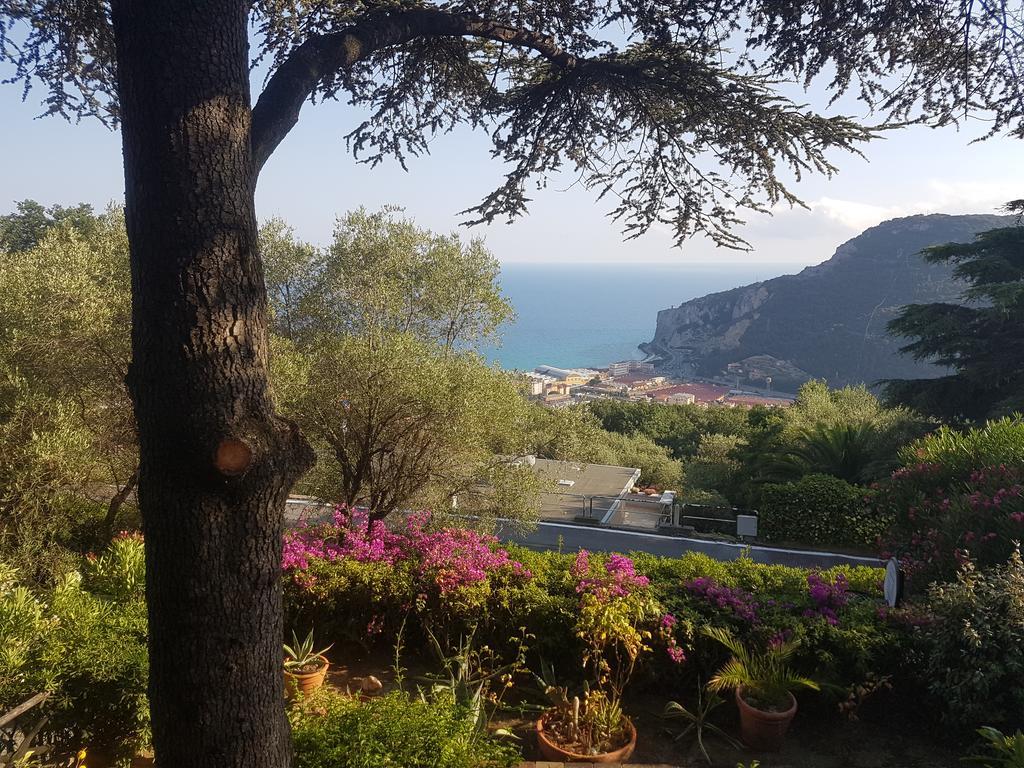 La Camera Tra Gli Ulivi Dream Finale Finale Ligure Bagian luar foto